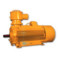 Motore antideflagrante serie CAD